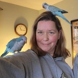 Meet your Posher, Kat